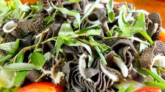 Cách khử mùi hôi của lá sách bò