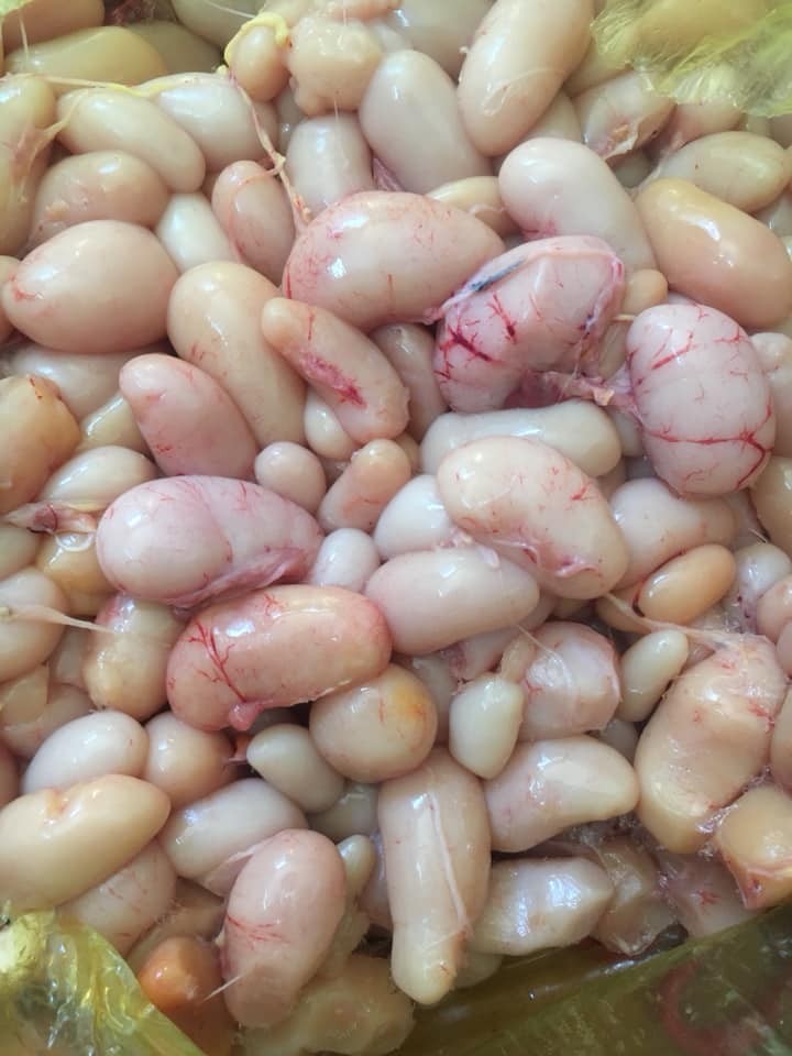 Cửa hàng bán Kê chim bồ câu uy tín