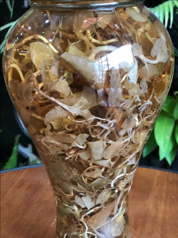 Cách ngâm rượu lan kim tuyến