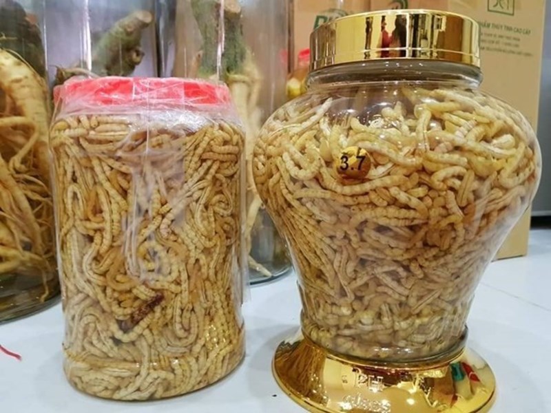 Hướng dẫn chi tiết cách ngâm rượu sâu chít