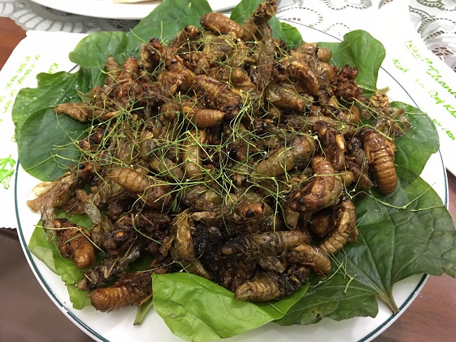 Lưu ý khi sử dụng ve sầu non 