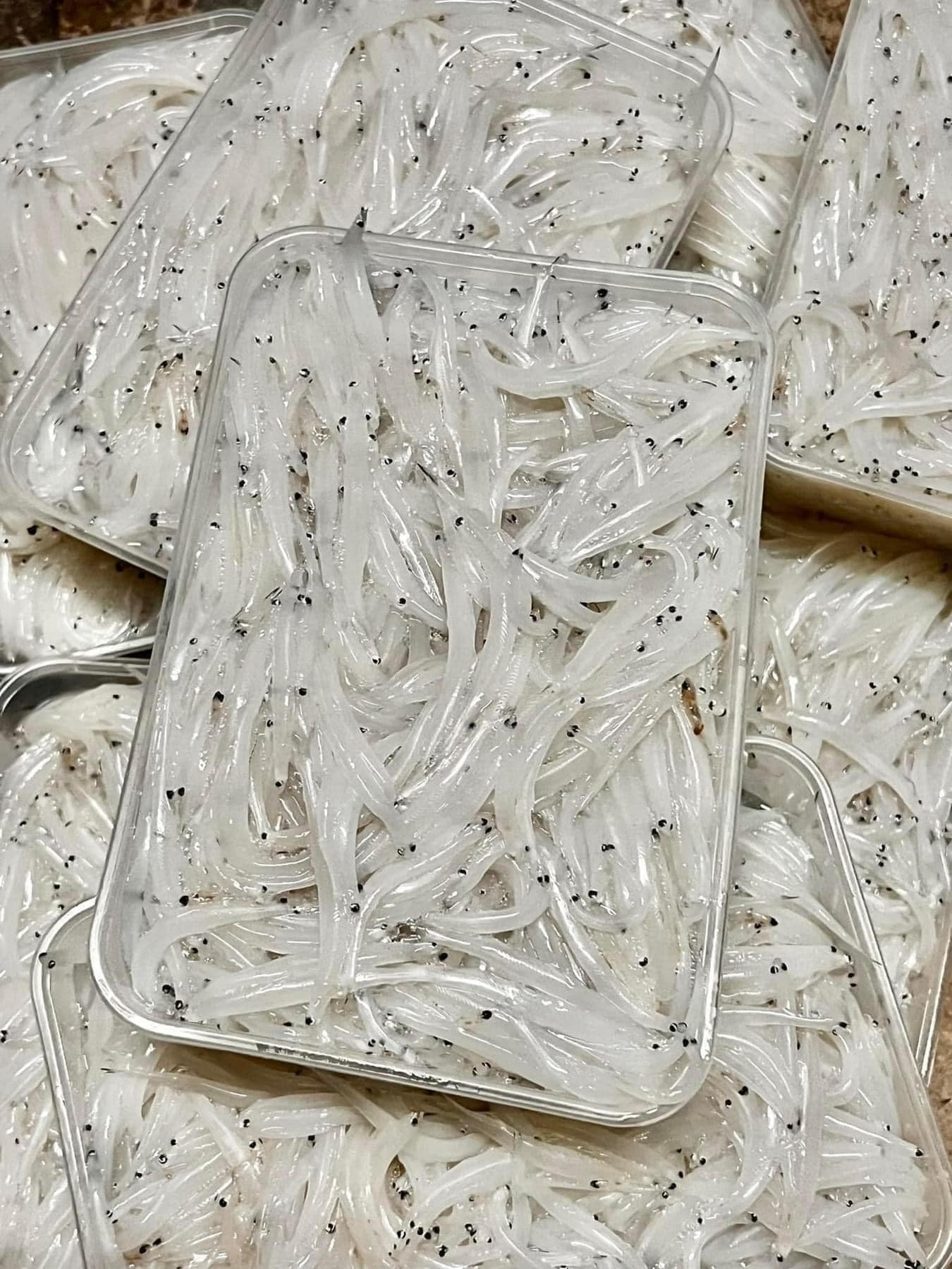 Mua cá ngần sông Đà ở đâu?