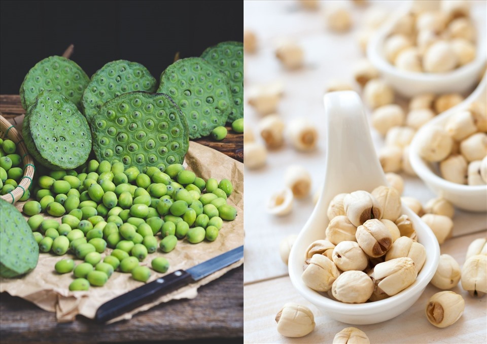 Hạt sen tươi có lợi ích gì?