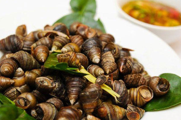 Giới thiệu về ốc vặn