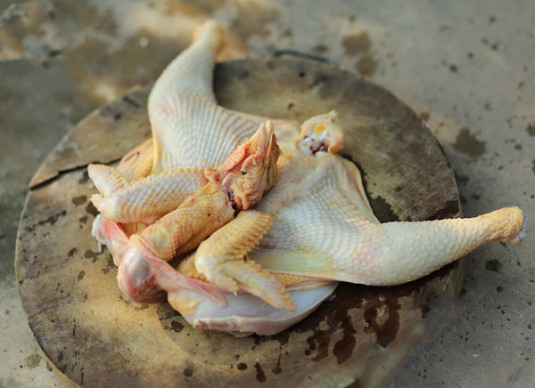 Đặc điểm của gà chọi